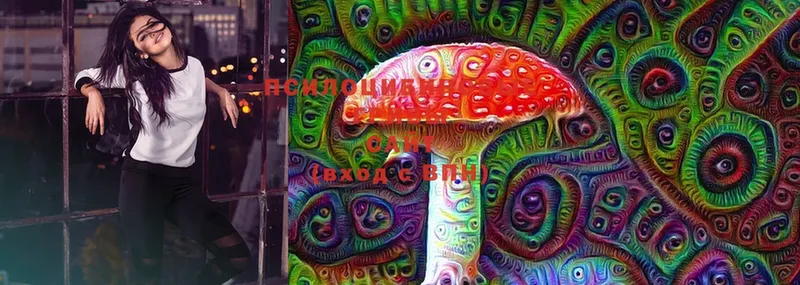 Псилоцибиновые грибы Magic Shrooms  Ясногорск 